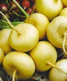 Turnip